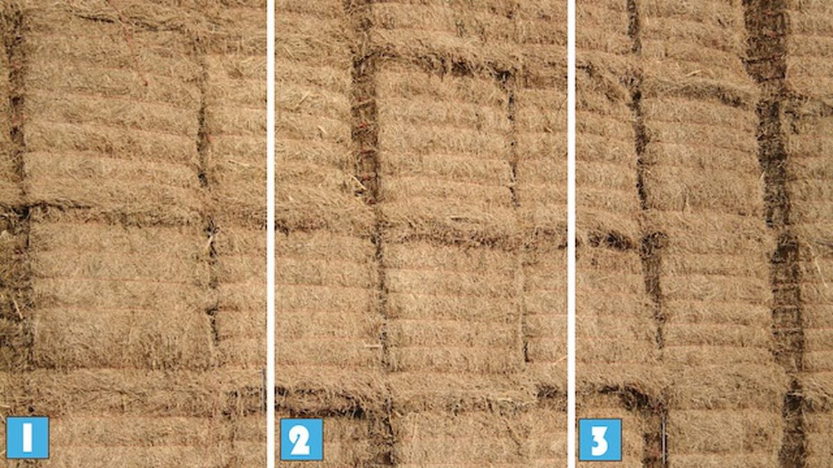 Needle in a Haystack 3 image number null